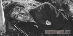 dreamlogic.net -- Kill! - Criterion Collection -- dvd movie review